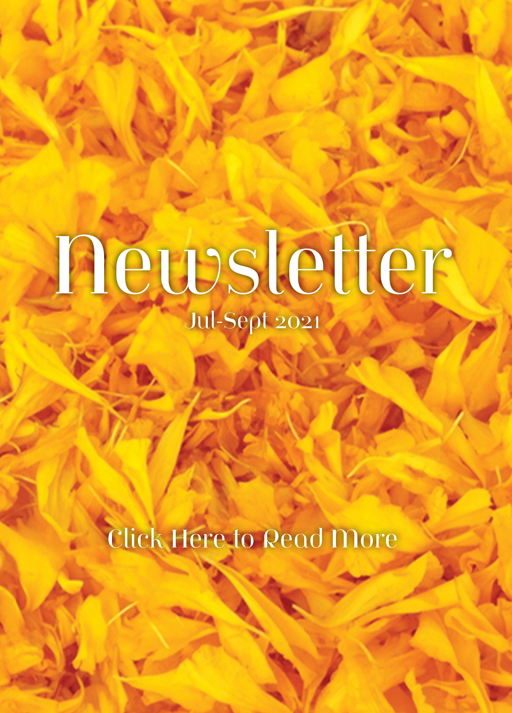 Web banner2
