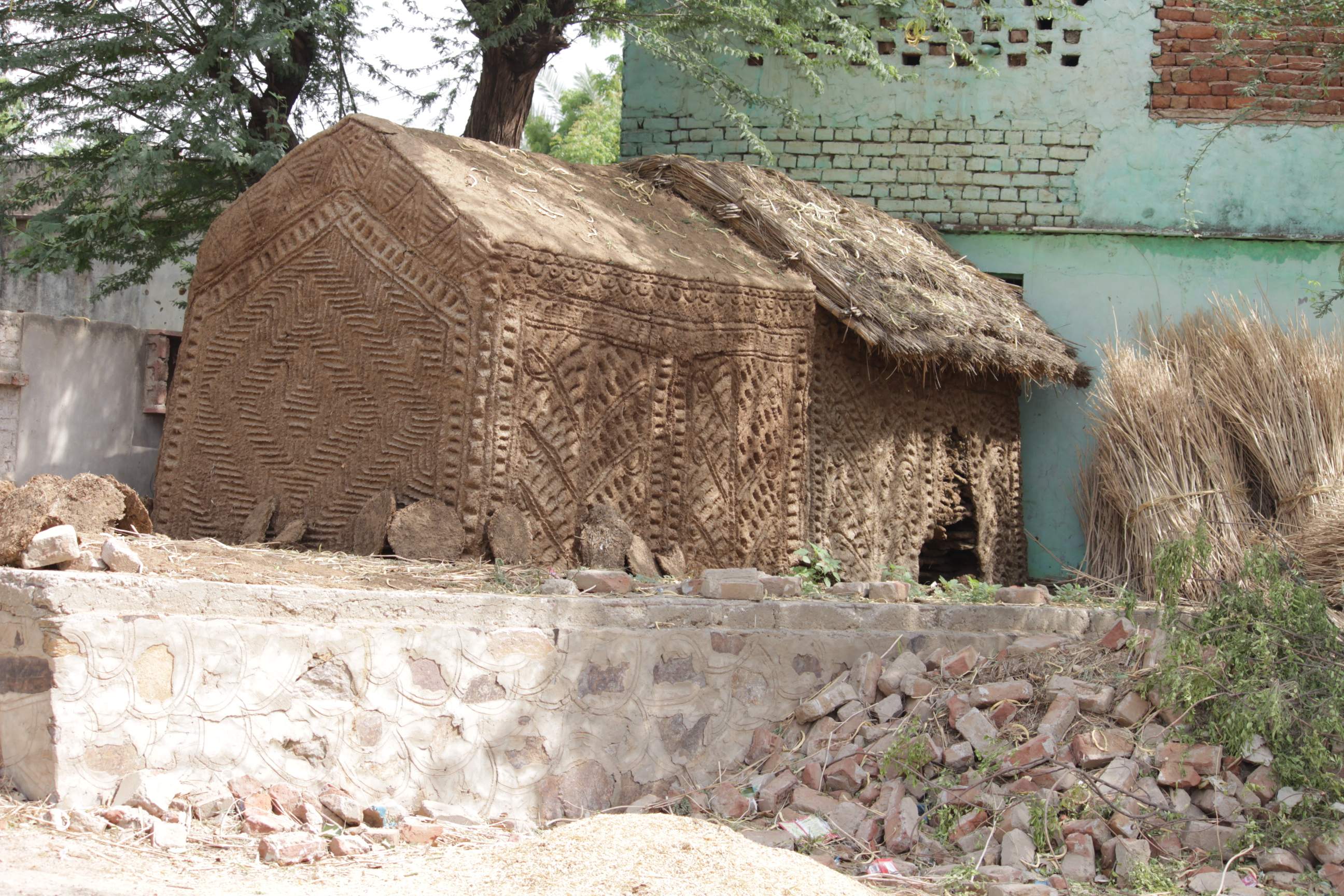 IMG_7667 (1) IMG_7667 (1)